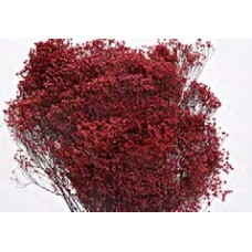 BLOOMS BROOM Berry (BULK)-