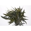 EUCALYPTUS WILLOW PRESERVED 18-20" Green- OUT OF STOCK