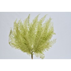 MOUNTAIN FERN SMALL 12" x 13" LIGHT GREEN- OUT OF STOCK