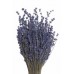 LAVENDER ENGLISH  Natural 11'-15"-