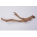 GHOSTWOOD BRANCHY Sanded 14"-16"-- OUT OF STOCK - CA ONLY