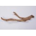 GHOSTWOOD BRANCHY Sanded 14"-16"-