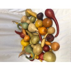 GOURD ASSORTMENT LARGE (BULK)