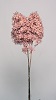 HYDRANGEA PEEGEE PRESERVED 16" Pink
