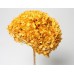 HYDRANGEA PRESERVED 6" HEAD (1-3 Stems) Gold- 