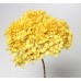 HYDRANGEA PRESERVED 6" HEAD (1-3 Stems) Yellow- OUT OF STOCK