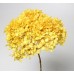 HYDRANGEA PRESERVED 6" HEAD (1-3 Stems) Yellow-