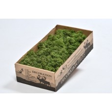 REINDEER MOSS WINDOW BOX MOSS GREEN