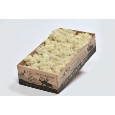 REINDEER MOSS WINDOW BOX NATURAL