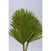 SUN PALM Light Green 8" x 14"