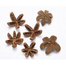 AMAZONIAN LILY HEAD (BULK) Natural 