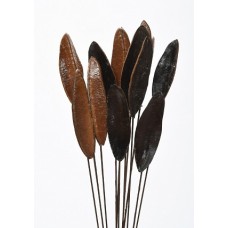 ASTER TRIANGLE BEAN 16" Polished- OUT OF STOCK