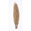 OLYMPIA SEED POD 20" x 7" Natural