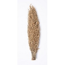 OLYMPIA SEED POD 20" x 7" Natural