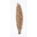 OLYMPIA SEED POD 20" x 7" Natural