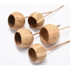 PUMPKIN BELL CUP PICKED (BULK) Natural