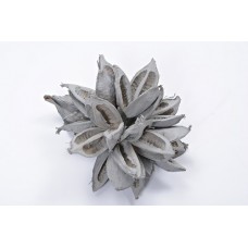 STAR PODS 8-12" Gray Wash-OUT OF STOCK