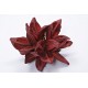STAR PODS 8-12" Red- 