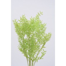 RUSCUS COLORS 32" Spring Green- OUT OF STOCK