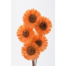 SOLA SUN FLOWER COLORS 4" (16" stem) Orange