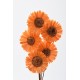SOLA SUN FLOWER COLORS 4" (16" stem) Orange