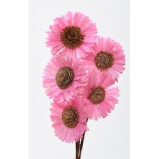 SOLA SUN FLOWER COLORS 4" (16" stem) Pink