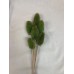 TEASILS  COLORS 16" STEM Basil