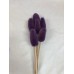 TEASILS  COLORS 16" STEM Lavender 