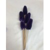 TEASILS COLORS 16" STEM Purple TEASILS COLORS 16" STEM Purple